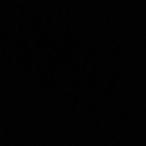 Meet your Posher, Dalia